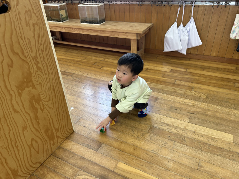 Image - 2025-04-14T153412.758