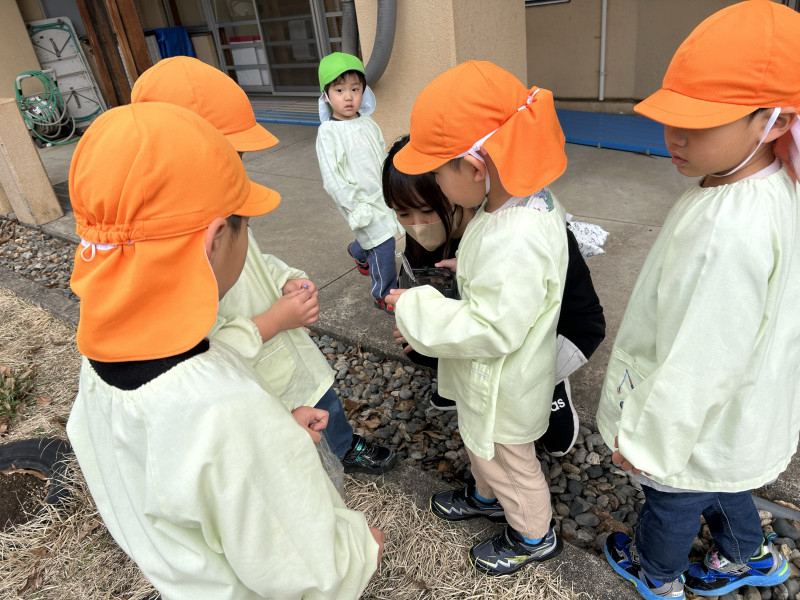 Image - 2025-04-15T111006.243