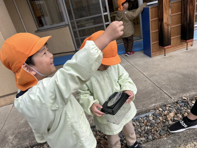 Image - 2025-04-15T111002.409