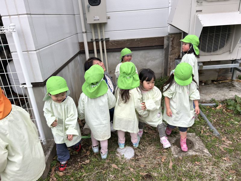 Image - 2025-04-15T110946.179