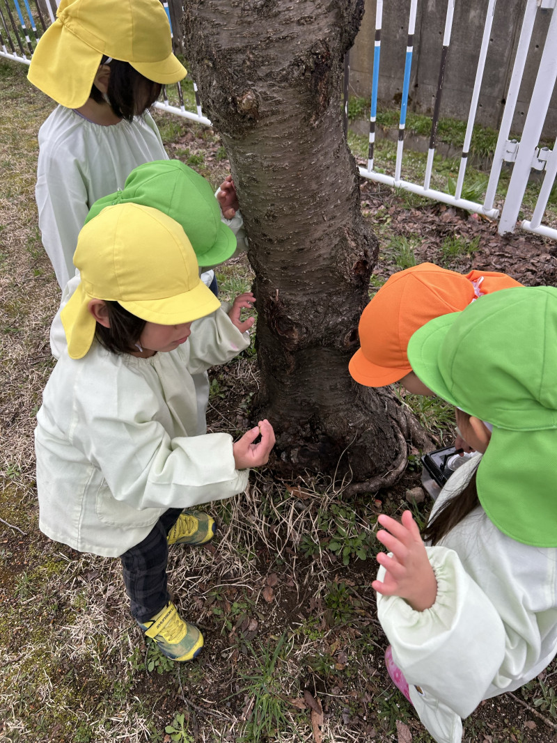 Image - 2025-04-15T110931.590