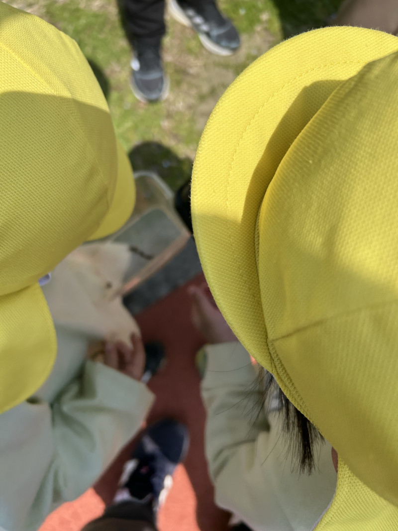 Image - 2025-04-17T112612.334