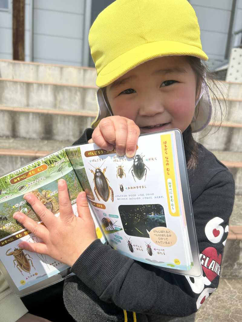 Image - 2025-04-17T113347.090