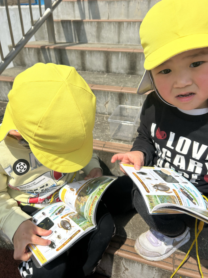 Image - 2025-04-17T113350.499