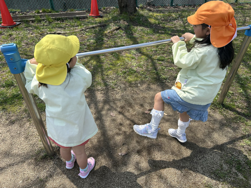 Image - 2025-04-17T113357.535