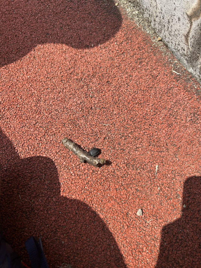 Image - 2025-04-17T113407.722