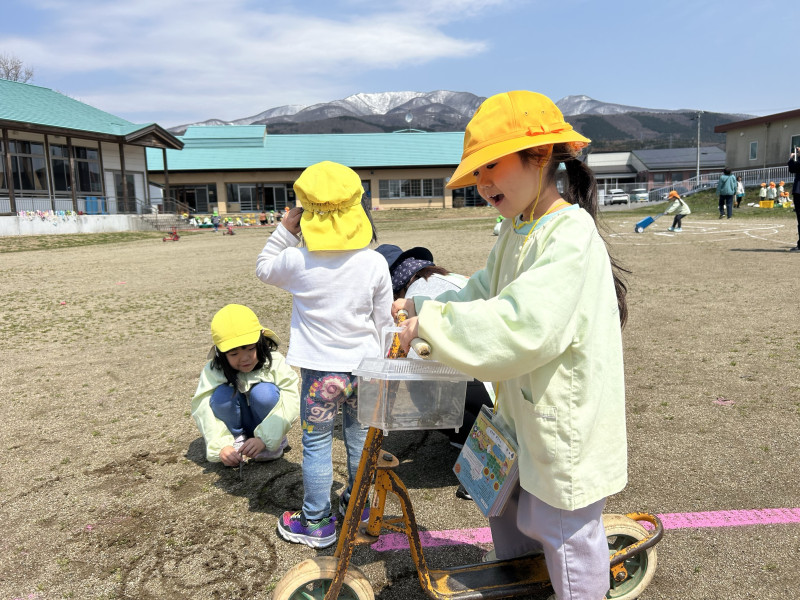 Image - 2025-04-17T112640.199