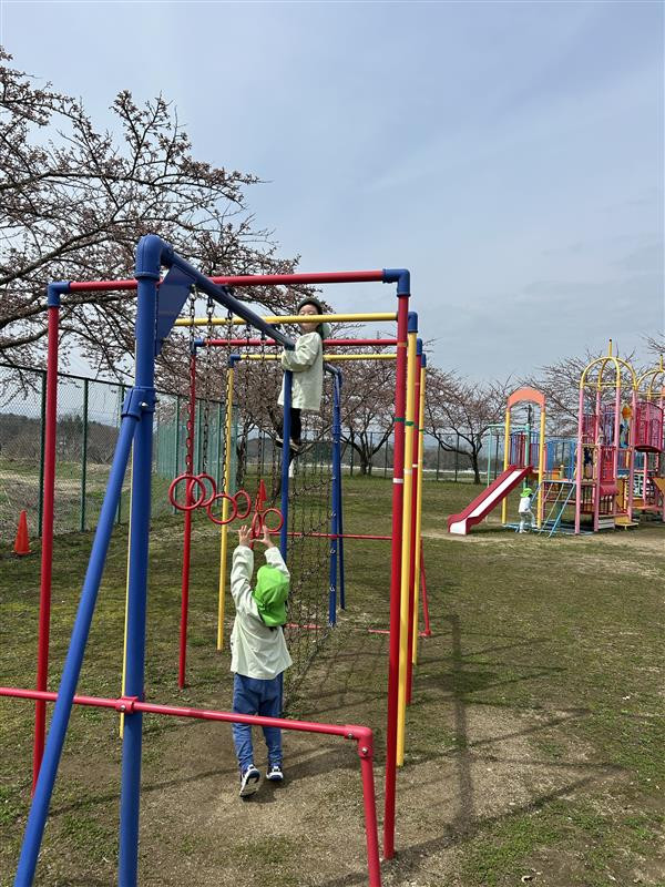 Image - 2025-04-18T161147.823