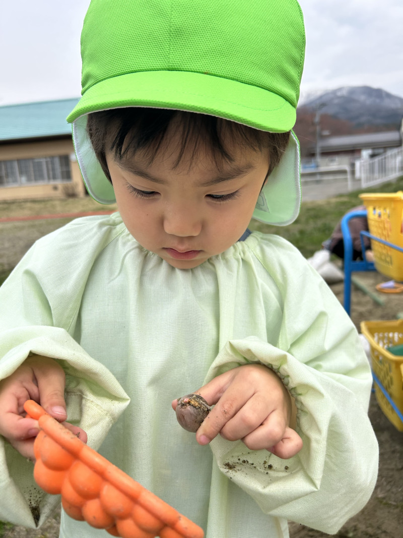 Image - 2025-04-18T161213.933