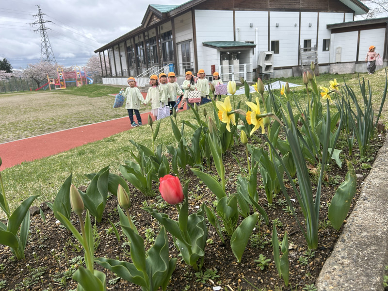 Image - 2025-04-24T111949.721