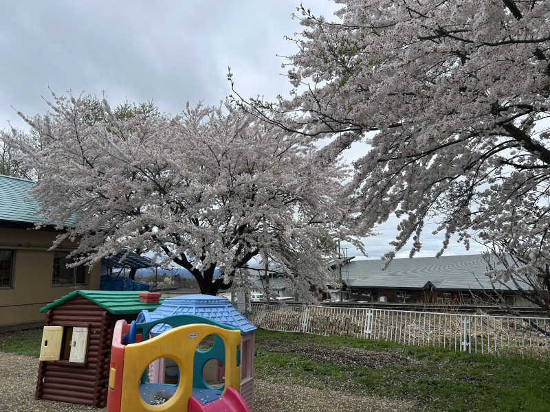 Image - 2025-04-24T111935.681