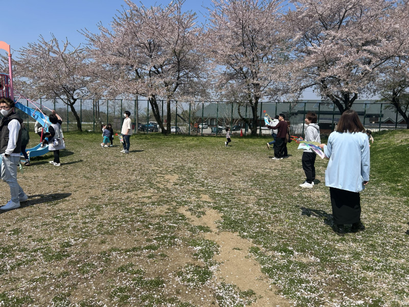 Image - 2025-05-01T133238.039