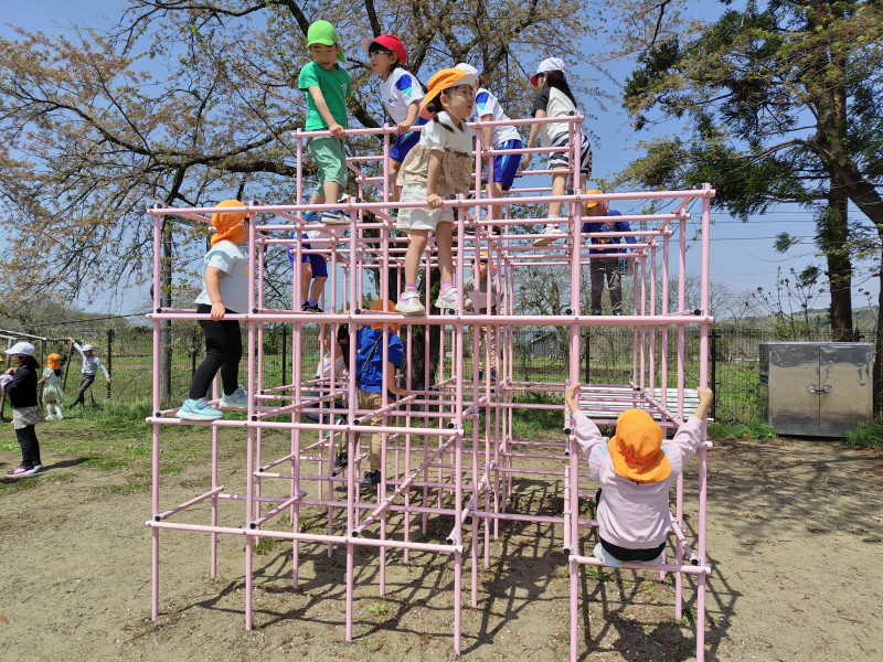 250501101738279_20250501154951612