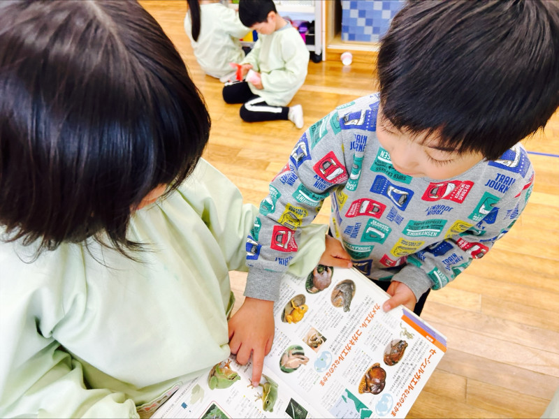 Image - 2025-05-13T114755.329