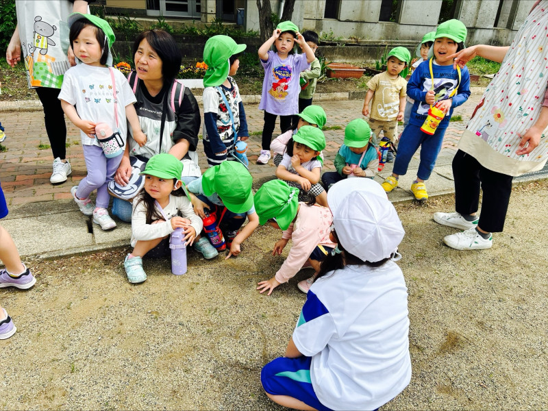 Image - 2025-05-14T122947.663