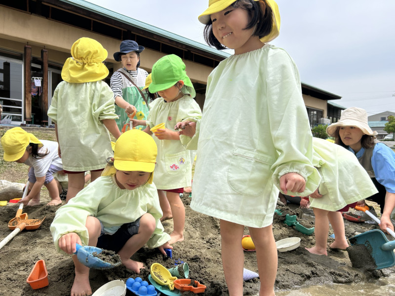 Image - 2025-05-15T105824.681