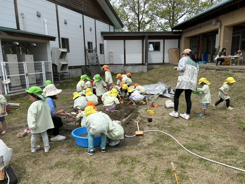 Image - 2025-05-15T105839.649