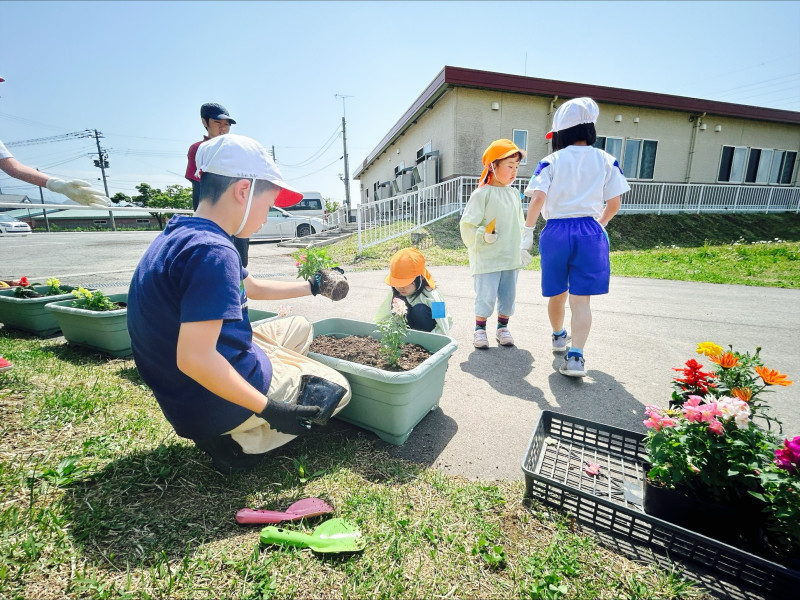 Image - 2025-05-21T111523.727