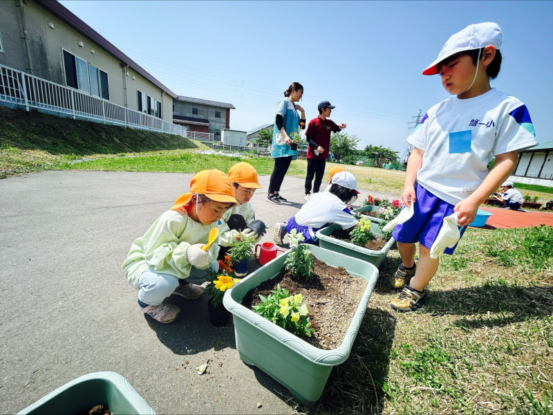 Image - 2025-05-21T111520.386