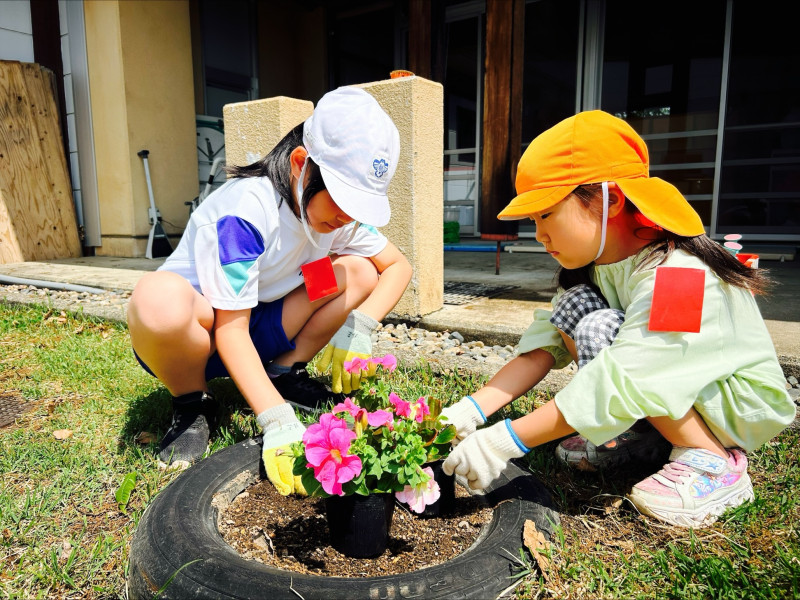 Image - 2025-05-21T111542.109