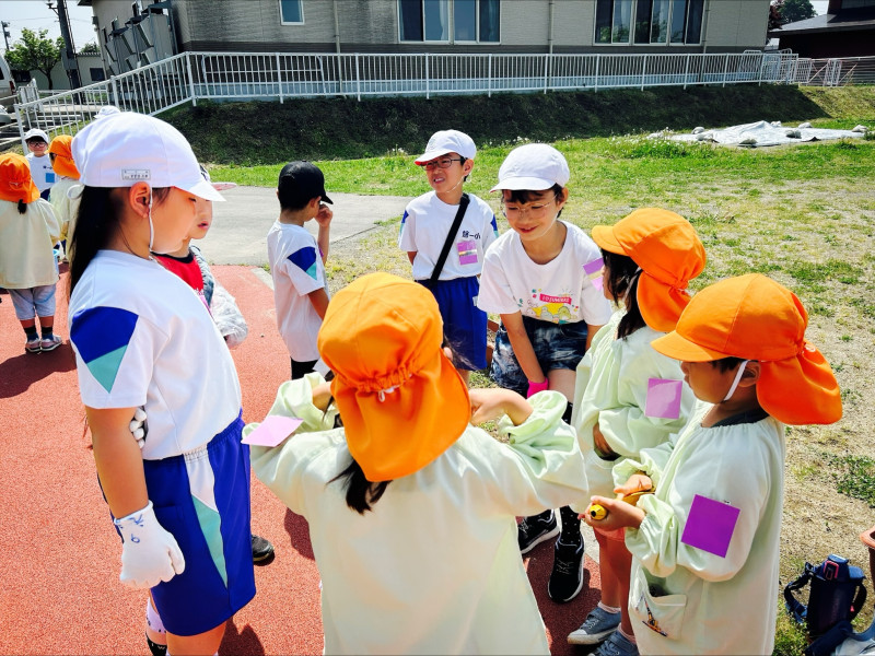 Image - 2025-05-21T111623.731