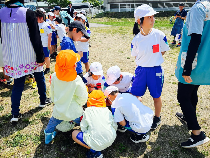 Image - 2025-05-21T111804.871