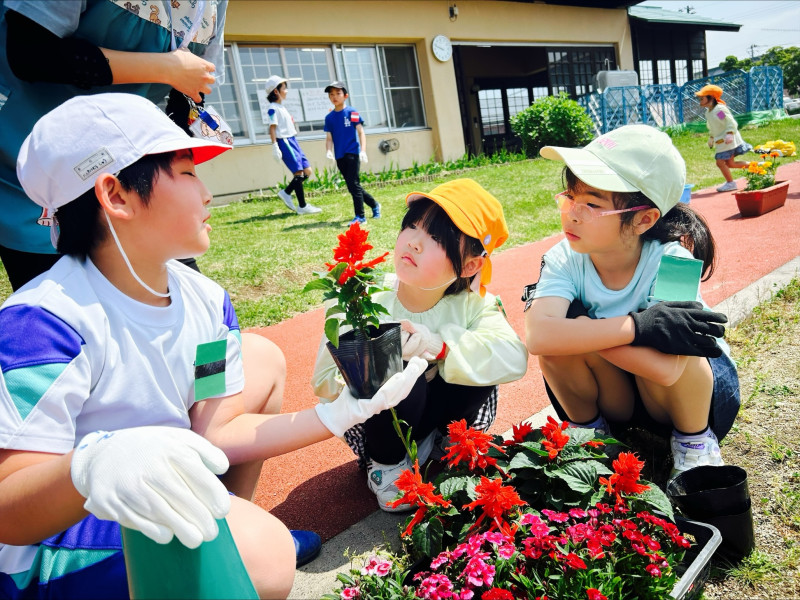 Image - 2025-05-21T111652.435