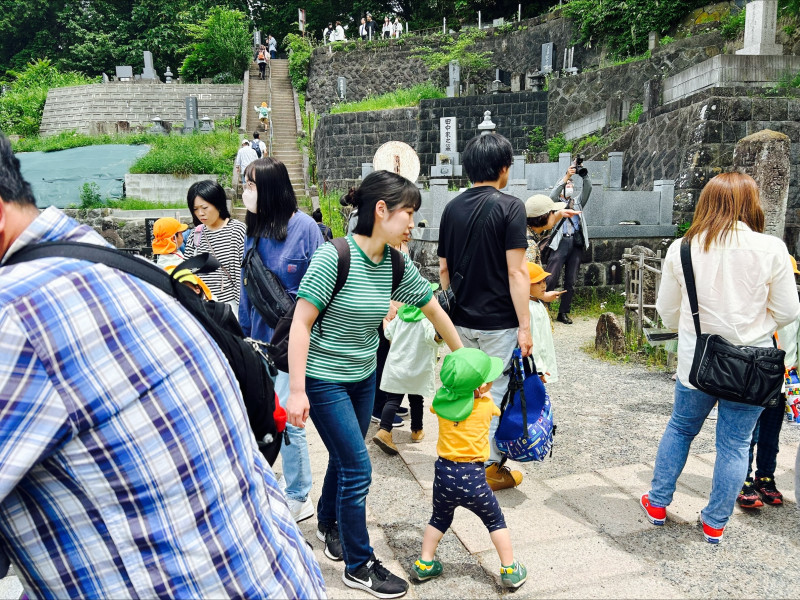 Image - 2025-05-26T124832.540