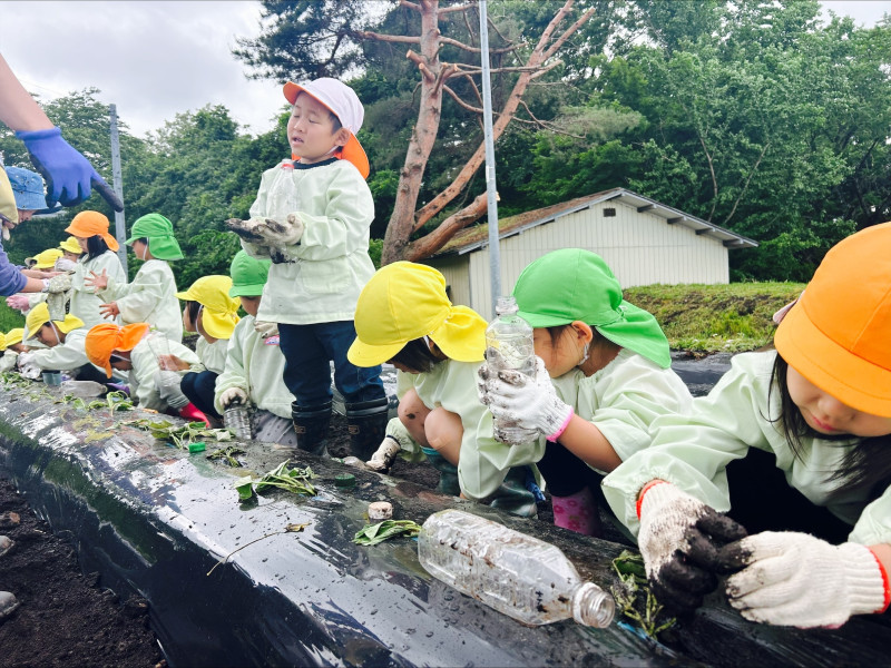 Image - 2025-06-04T115012.515