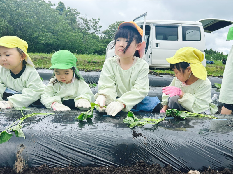 Image - 2025-06-04T115119.156