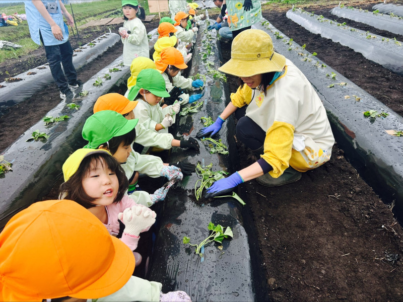 Image - 2025-06-04T115113.409