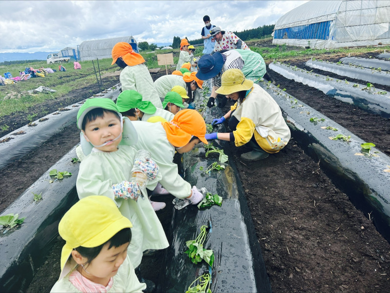 Image - 2025-06-04T115109.814