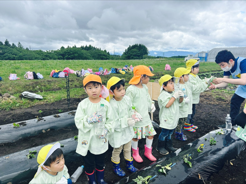 Image - 2025-06-04T115057.935