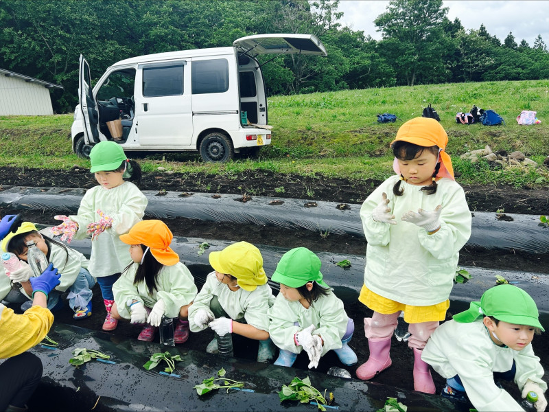 Image - 2025-06-04T115055.236