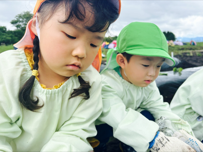 Image - 2025-06-04T115030.554