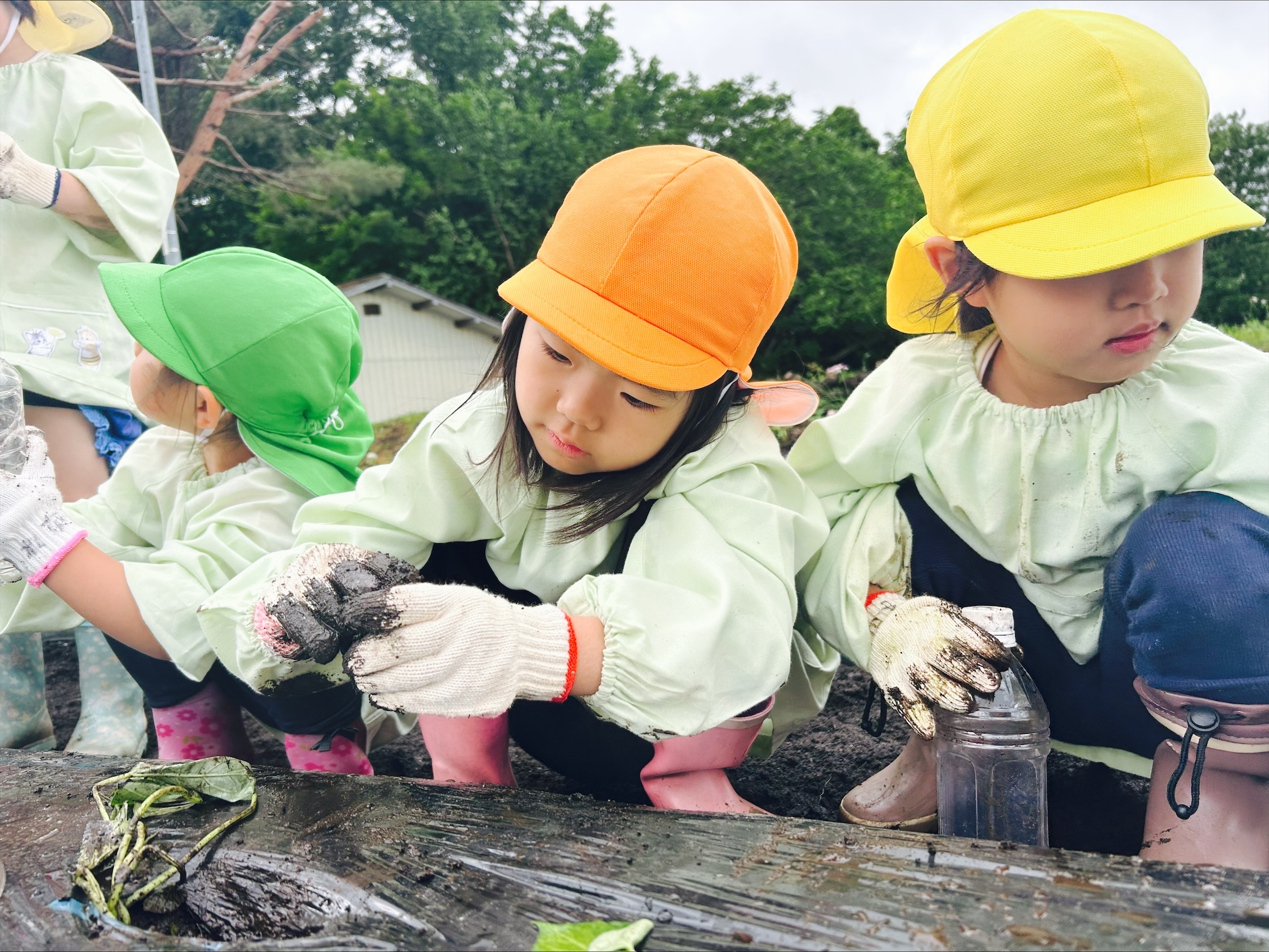 Image - 2025-06-04T115016.554