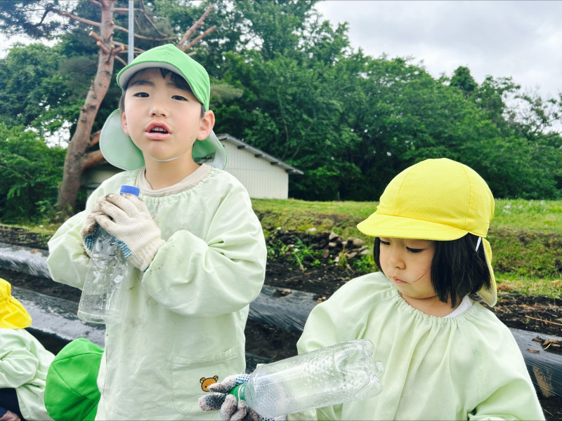 Image - 2025-06-04T115020.210