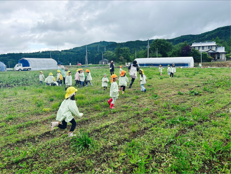 Image - 2025-06-04T114933.637