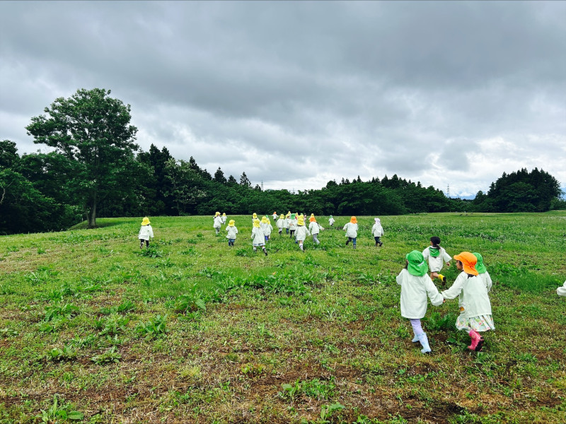 Image - 2025-06-04T114943.562