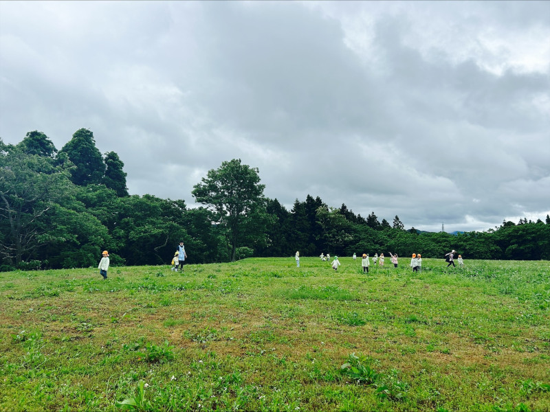 Image - 2025-06-04T114924.946