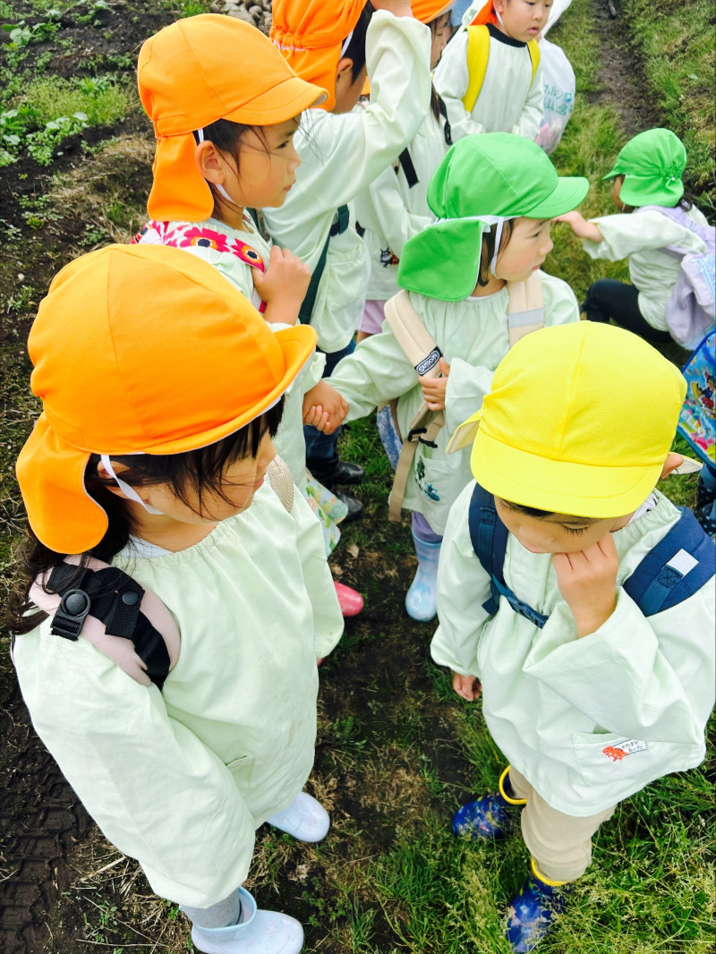 Image - 2025-06-04T114856.038