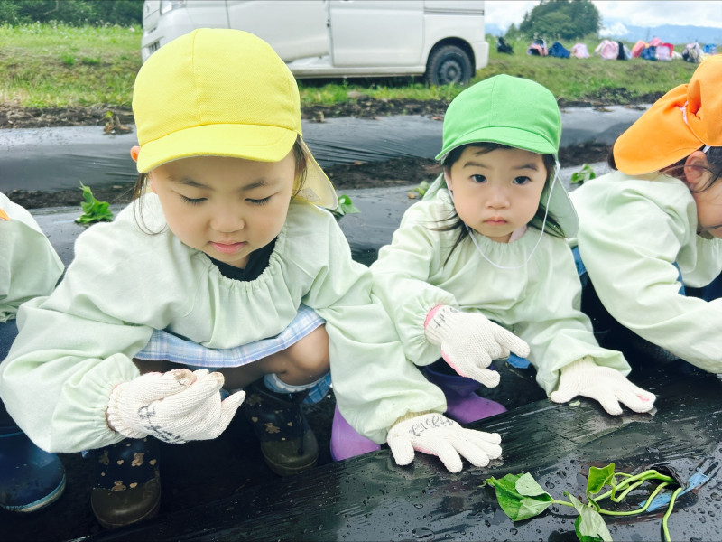 Image - 2025-06-04T115116.457