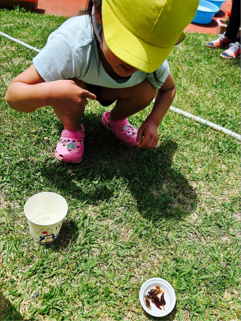 Image - 2025-06-09T132217.010