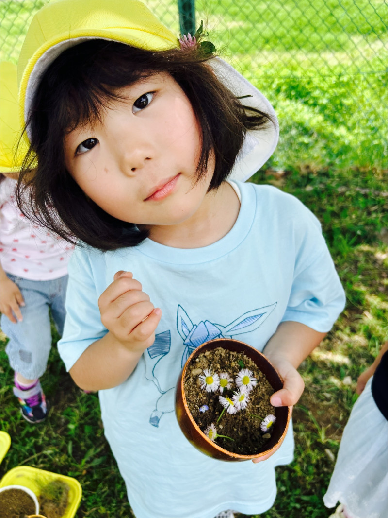 Image - 2025-06-09T132212.877