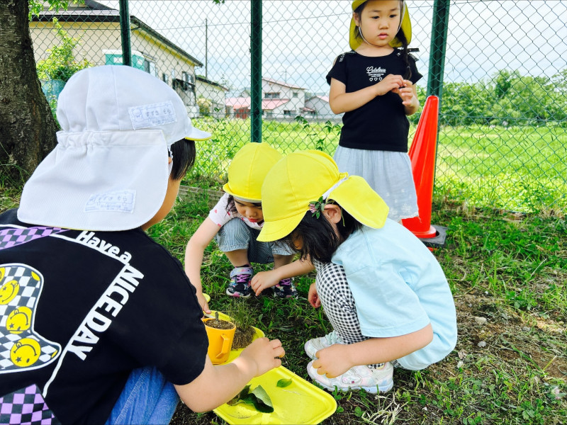 Image - 2025-06-09T132209.795