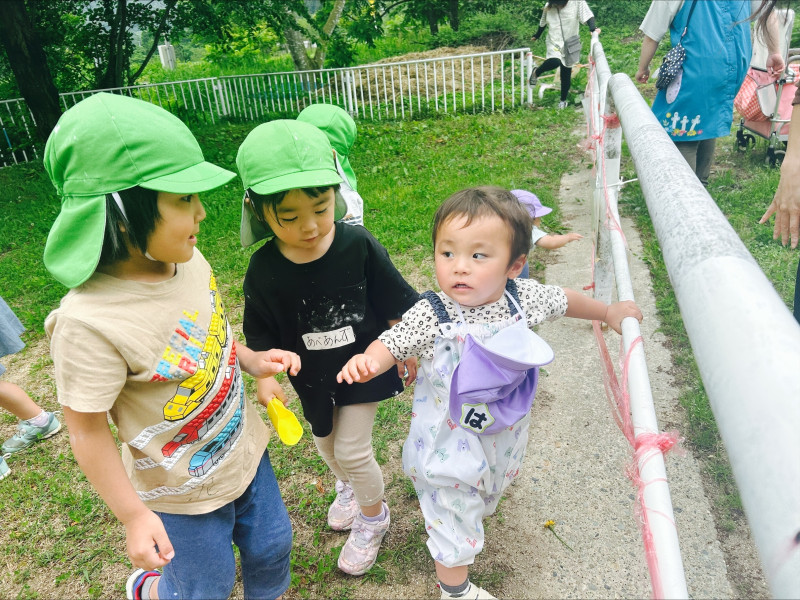 Image - 2025-06-11T110545.121