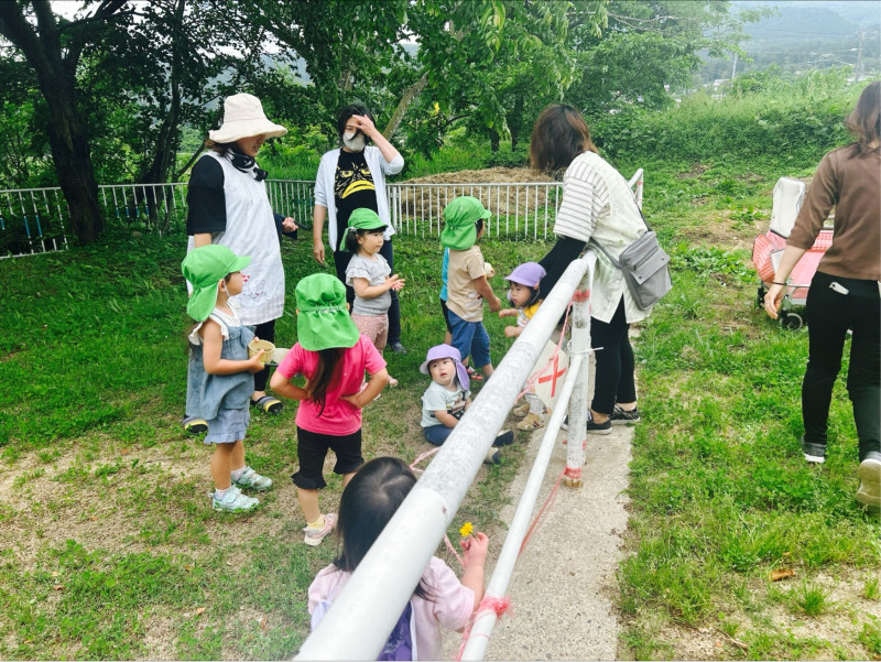 Image - 2025-06-11T110538.770