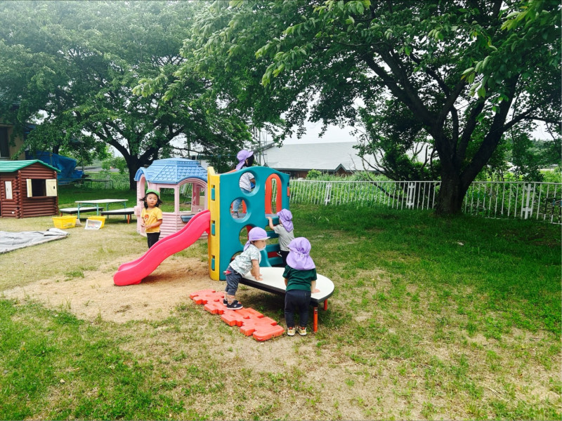 Image - 2025-06-11T110547.940