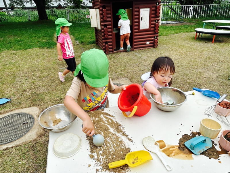 Image - 2025-06-11T110651.973