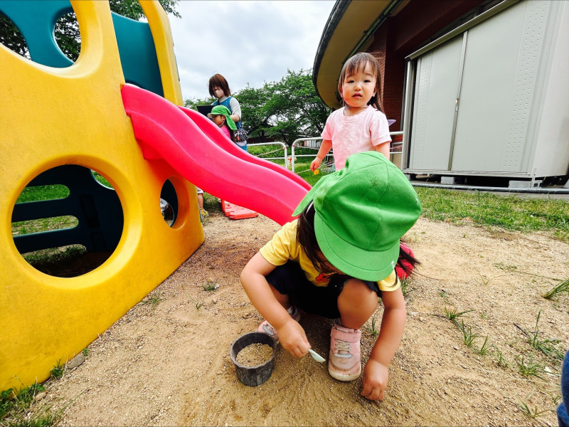 Image - 2025-06-11T110706.145